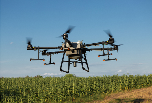 Frame 1000004355-2