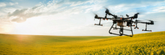 pic 1